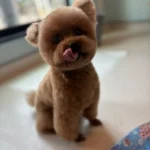 ベロ出してるトイプー